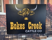 Bokes Creek Cattle